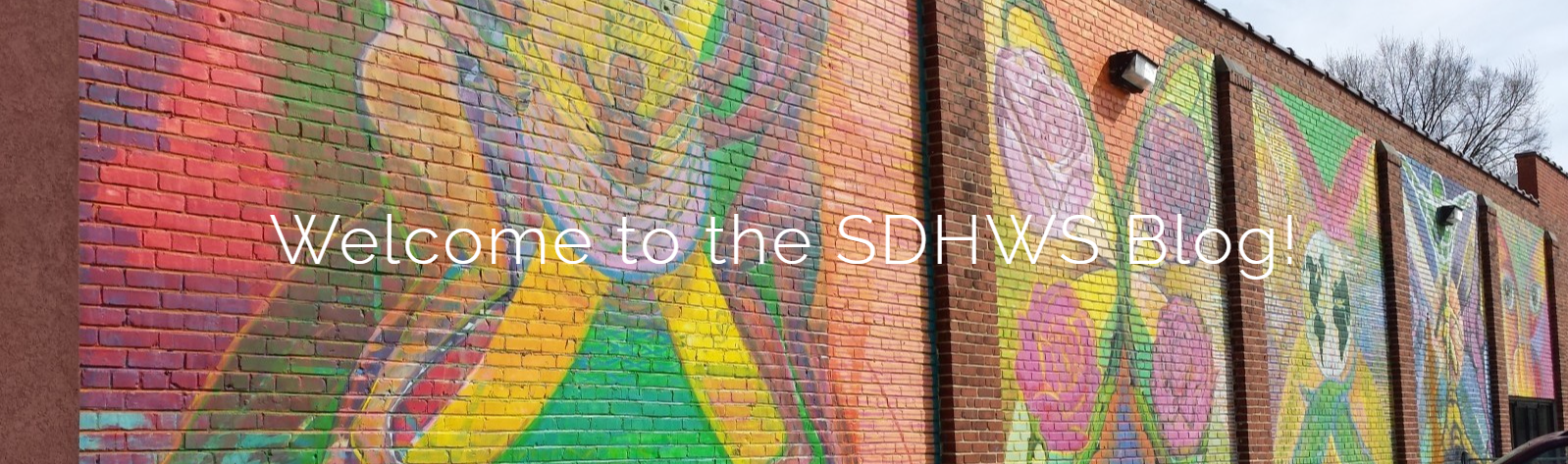 Welcome to the SDHWS Blog!