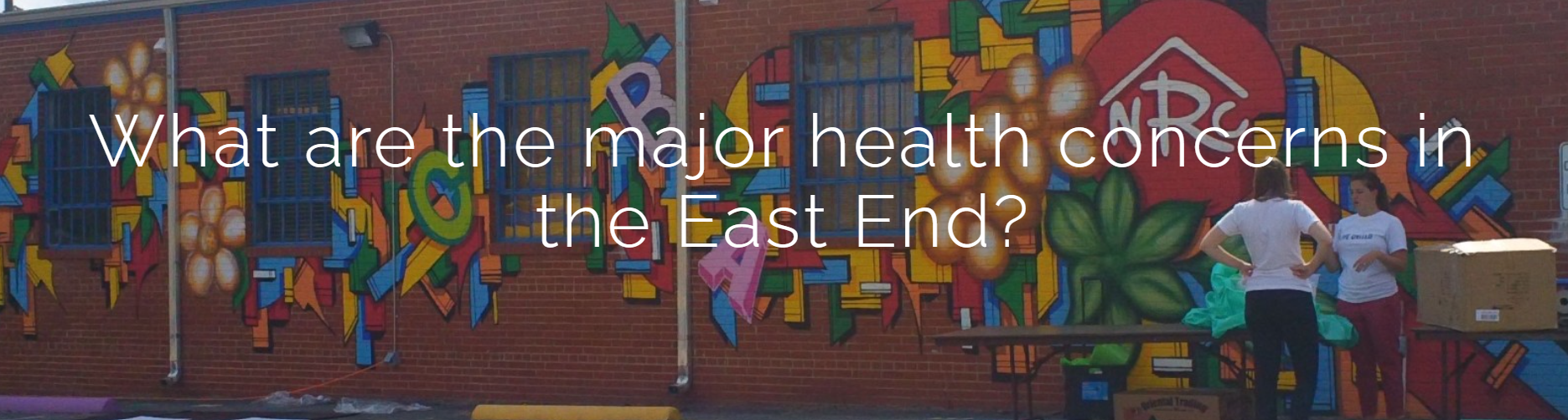 What are the major health concerns in the East End?